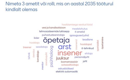 Tulevikuametid OSKA visioonipäeval osalenute hinnangul